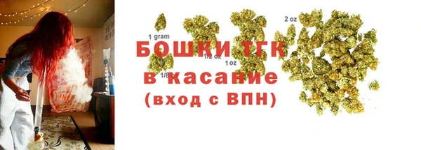 соль ск Алексин