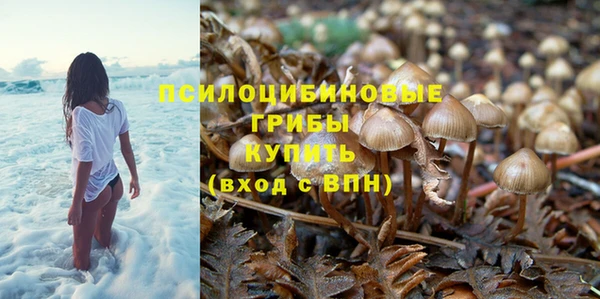 соль ск Алексин