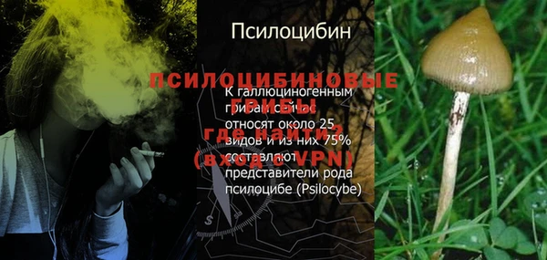 соль ск Алексин